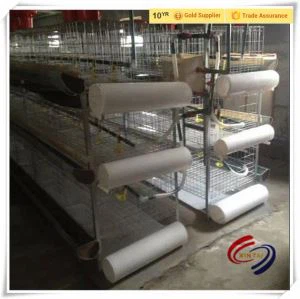 PP dopravný pás hnoja pre kurčatá